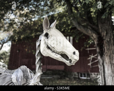 Scricchiolante cavallo scheletro Halloween mostra di fronte al vecchio fienile Foto Stock