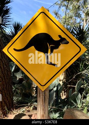 Cartello Kangaroo. Avvertenza canguro nelle vicinanze o all'incrocio. Fauna australiana. Animali selvatici. Fuori nella boccola Foto Stock