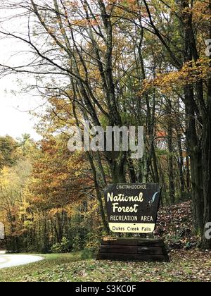 Ingresso all'area ricreativa della foresta nazionale presso le cascate Duke Creeks Falls nella contea di White, Georgia USA. Foto Stock