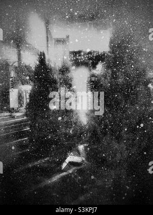 Alberi di Natale venduti in un centro Walmart locale in Utah, Stati Uniti. La neve è stata aggiunta digitalmente per effetto artistico. Foto Stock