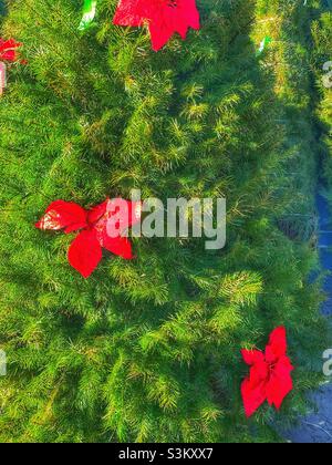 Gli alberi di Natale, senza stand, sono appoggiati contro un muro in un lotto di alberi di Natale in un centro locale Walmart super in Utah, Stati Uniti. Questi alberi particolari sono adornati con archi rossi. Foto Stock