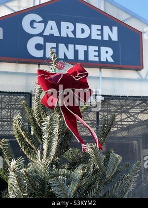 Un arco rosso si siede in cima a un vero albero di Natale in vendita presso il Garden Center in un centro di residenza locale di Lowe nello Utah, Stati Uniti. Foto Stock
