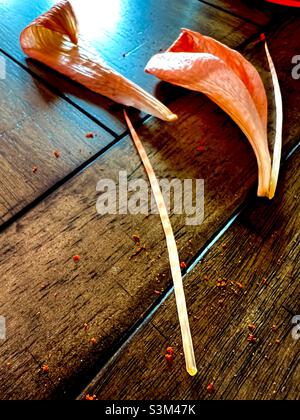 Tiger lily petali Foto Stock