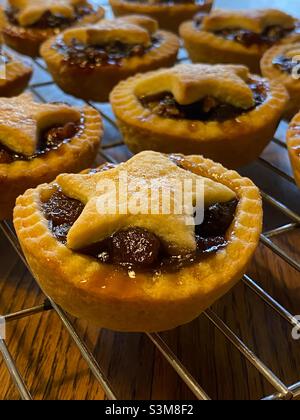 Torte di mince appena sfornate su una griglia di raffreddamento Foto Stock