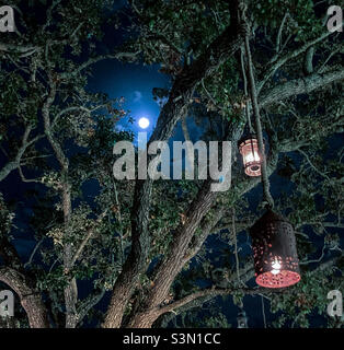 Luna che brilla attraverso i rami dell'albero. Lanterne appendono sull'albero. Hanno una luce calda in contrasto con il bianco freddo di bagliore della luna. Foto Stock