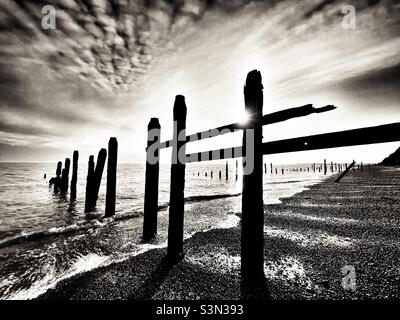 Legno groynes Bawdsey Ferry Suffolk Inghilterra Foto Stock