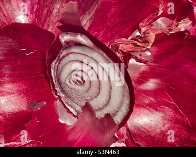 Rifiuti da cucina, i rifili e la pelle da una cipolla rossa, astratta Foto Stock