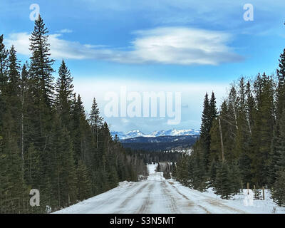 Una lunga strada innevata, alberata che conduce verso le Montagne Rocciose canadesi. Alberta Foothills, Canada. Foto Stock