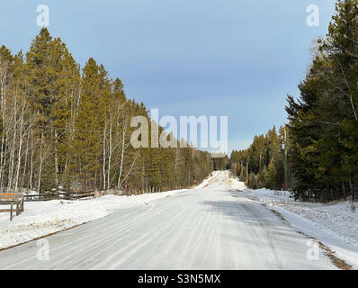 Una lunga strada innevata, alberata ai piedi dell'Alberta, Canada. Foto Stock