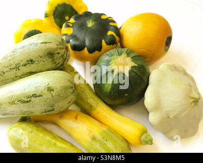 Just picked farm fresh assorted zucchini and squash. Foto Stock