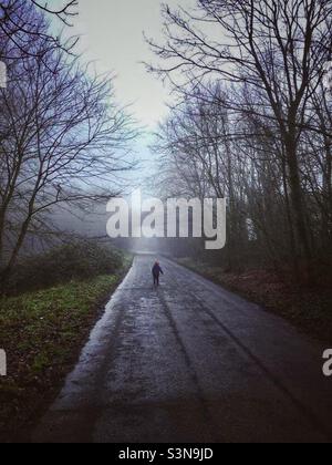 Un ragazzino cammina lungo una strada solitaria nella nebbia Foto Stock