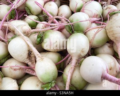 Il cocomero irradia. Foto Stock