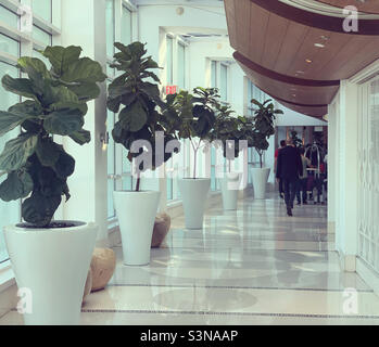 Corridor, Fontainebleau Miami Beach, Mid-Beach, Miami Beach, Florida, Stati Uniti, Nord America Foto Stock