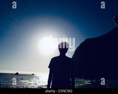 Pomeriggio a Big sur al Limekorn state Park, California, USA. Foto Stock