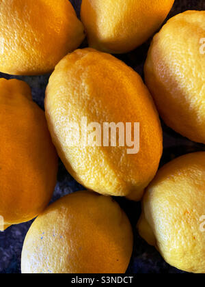 Limoni freschi Foto Stock