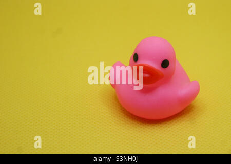 Ducky di gomma Foto Stock