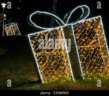 Gennaio, 2022, luci per le vacanze, Lummus Park, South Beach, Miami Beach, Florida, Stati Uniti, Nord America Foto Stock