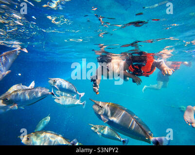 Giovani coppie asiatiche che si dedicano allo snorkeling nelle Maldive vicino all'isola Masfushi circondata da pesci. Foto Stock