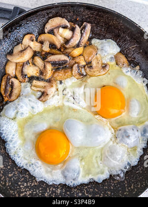 Eggs and mushrooms in a frying pan Stock Photo