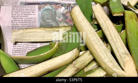 Plantare le pelli su un giornale granma con un'immagine di Fidel Castro. Giorno per giorno in una casa cubana. L'Avana, Cuba Foto Stock