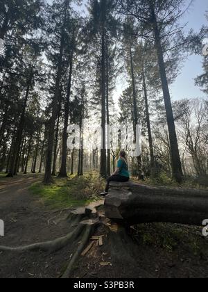 Ragazza sedette su un albero caduto con il sole che tramonta sullo sfondo Foto Stock