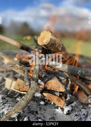 I tronchi di legno bruciano caldo in un fuoco. Foto Stock