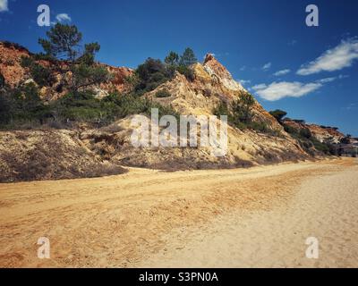 Formazioni rocciose di arenaria con pini su una spiaggia in Algarve, Portogallo. Foto Stock