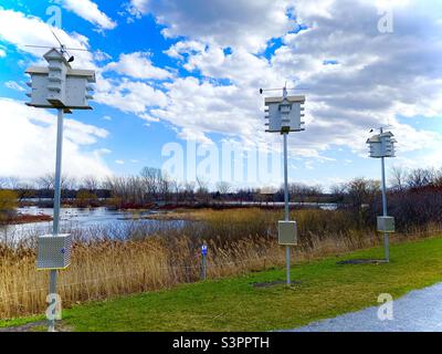 Parc des rapides à Montréal boîtes à insettes Foto Stock