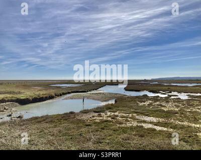 Vista sulla Riserva Naturale del Porto di Rye Foto Stock