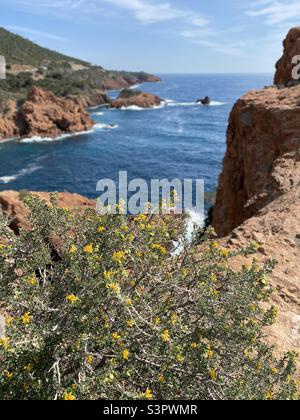 Cota d’azur, Francia Foto Stock