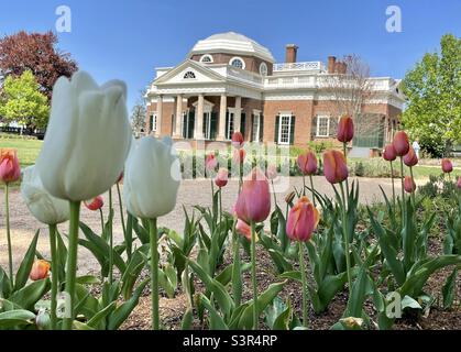 Monticello, la casa Virginia di Thomas Jefferson. Foto Stock