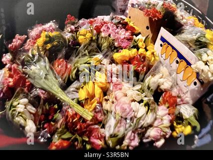 Mazzi di fiori in vendita all'aperto mercato Boston Foto Stock
