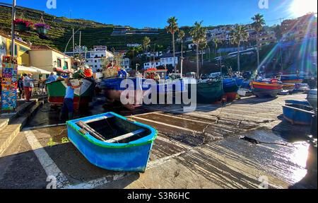 Camara de lobos Foto Stock