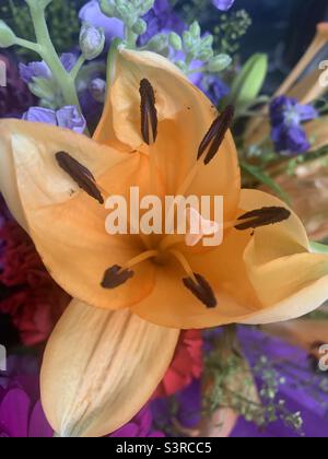 Primo piano di fiore giallo in colorato bouquet primavera Foto Stock