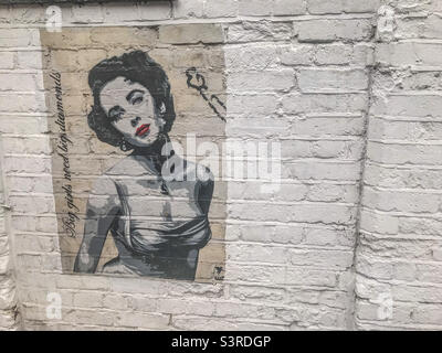 Marilyn Monroe Street art, Highgate, Londra Foto Stock