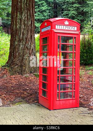 Telefono rosso d'epoca britannico Foto Stock