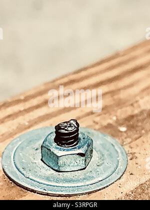Vite imbullonata su superficie in legno Foto Stock