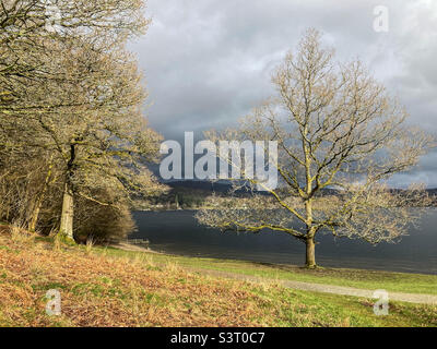 Pioggia proveniente al lago Windermere vicino a Low Wray Castle, Ambleside Foto Stock