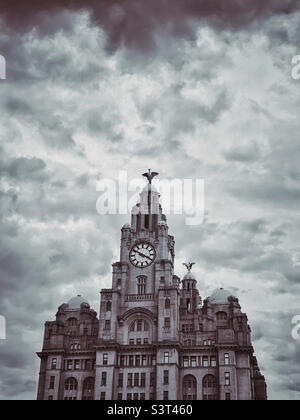 Il Royal Liver Building a Liverpool, Inghilterra. Questo edificio storico di grado 1 è stato uno dei primi a utilizzare cemento armato nella sua costruzione. Foto ©️ COLIN HOSKINS. Foto Stock