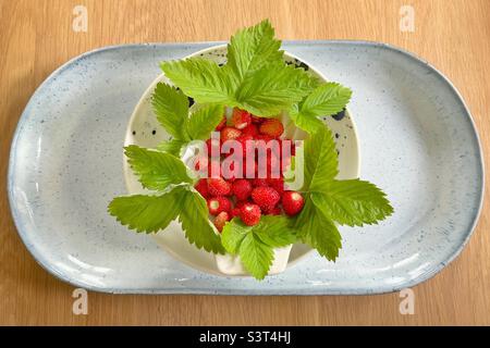 Fragole selvatiche appena raccolte in un piatto Foto Stock