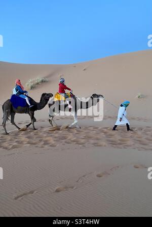 Tour a dorso di cammello nel deserto marocchino, in Marocco, in Nord Africa Foto Stock