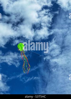 Aquilone di polpo verde che vola in un cielo nuvoloso. Foto Stock