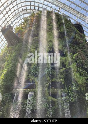 Singapore - 23 Giugno 2019 : la luce del sole getta ombre su una delle cascate interne più alte del mondo in Cloud Forest, Gardens by the Bay, Singapore Foto Stock