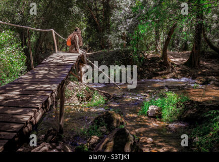 Una donna escursionista fa una pausa, seduto su un ridente ponte di legno che attraversa un ruscello nella zona boschiva, Lapas, Portogallo centrale Foto Stock