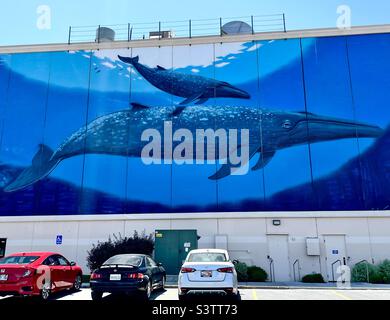 Un negozio di mobili in Utah, USA ha un gigantesco dipinto murale che copre l'intero lato nord del loro edificio. Belle, anche se inaspettate, balene che nuotano nel profondo dell'oceano. Foto Stock