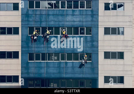 Il vero Spiderman che lavora su un alto edificio attraverso la pittura e la pulizia. Foto Stock