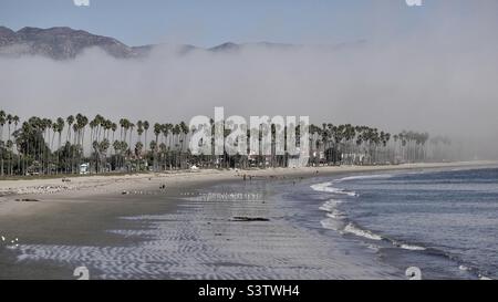 Nebbia di mare che si inonde attraverso la spiaggia e le palme, oscurando montagne lontane a Santa Barbara, California. Foto Stock