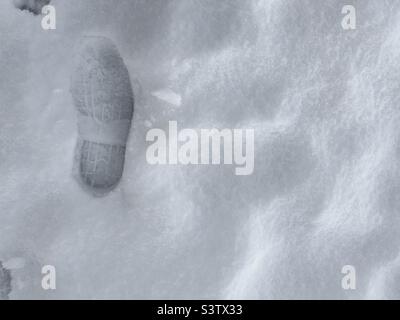 Primo piano su un'impronta rivolta verso l'alto, nella neve fresca con luce morbida, quasi senza ombre Foto Stock