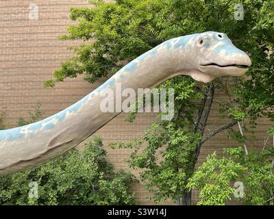 plaza all'aperto e cortile presso il Dinosaur Museum di Vernal, Utah. È divertente esplorare questi terreni pieni di dinosauri. Foto Stock