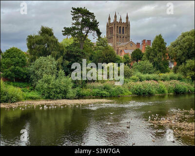 Una vista della famosa Cattedrale di Hereford dalle rive del fiume Wye. Questa cattedrale gotica ospita l'inestimabile Mappa Mundi. Foto ©️ COLIN HOSKINS. Foto Stock